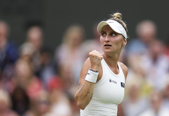 舍夫勒则排 舍夫勒则排