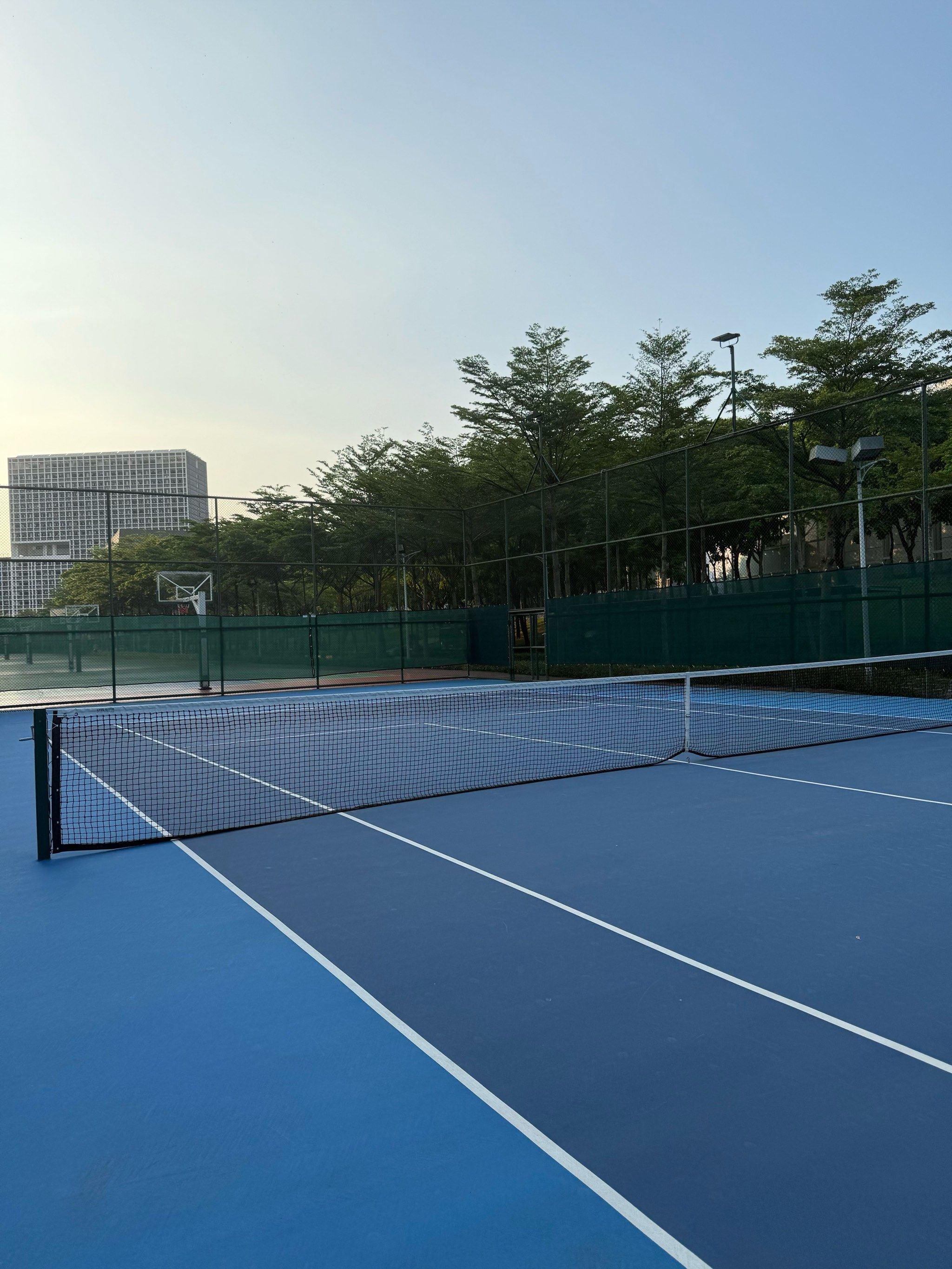 五巨头的组 五巨头的组